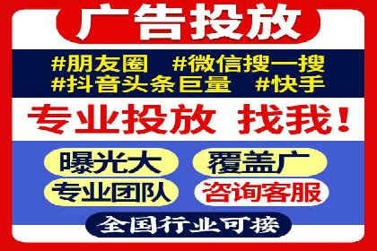 行业领先的SEM竞价广告投放案例